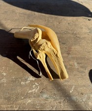 Ginocchiera anatomica modello