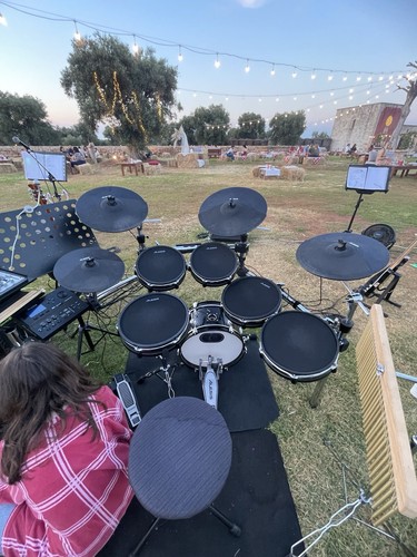 Alesis dm10mkll pro - pro,
