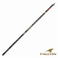 Canna Bolognese Falcon Venere