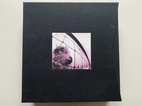 Pearl jam vitalogy - pearl,