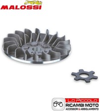 SEMIPULEGGIA VENTILVAR MALOSSI