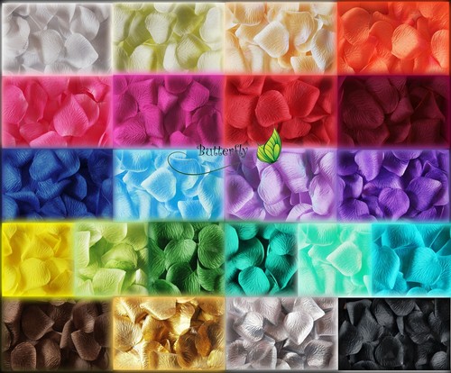 100 500 1000 - 1000, petali