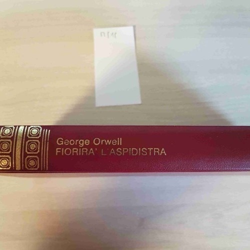 Fiorira aspidistra george - fiorira',