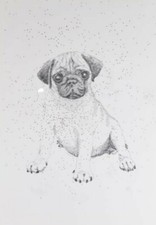 CORSINI VITTORIO Tecnica