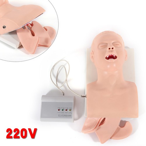 Allenatore gestione vie - allenatore,