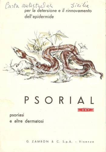 1955 vicenza gaetano - vicenza, zambon