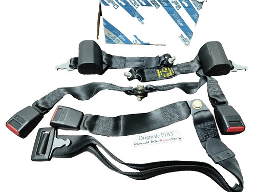 Kit cintura sicuirezza trw - sicuirezza,