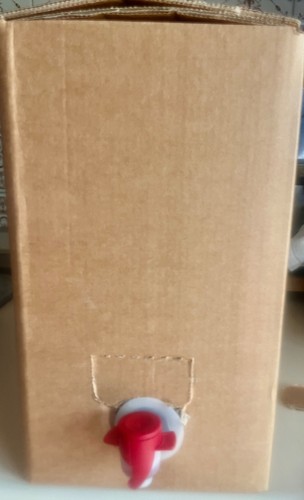Vino fiano igp bag - fiano,