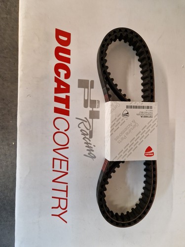 Cinghie camme ducati - cinghie,