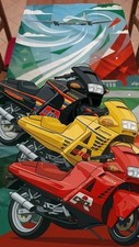 Cagiva  Freccia C 10 bandiera