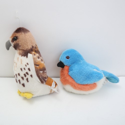 Peluche international - peluche,