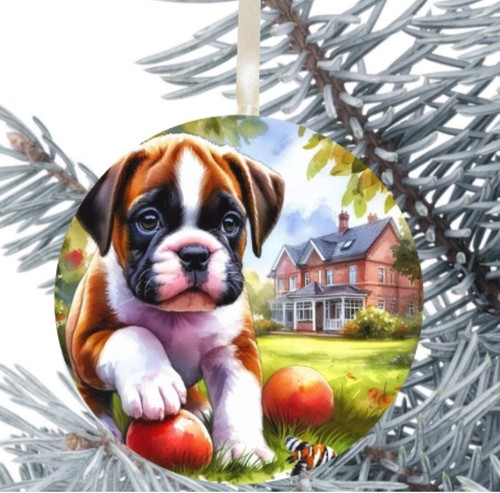 Boxer cucciolo cane appeso - cucciolo,