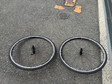 Pneumatico Fulcrum Racing 7 +