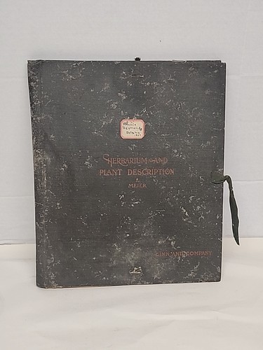 Antique herbarium and plant - antique,