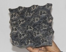 Vintage IN Legno Stampa