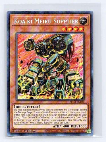 Koa meiru fornitore - koa'ki,