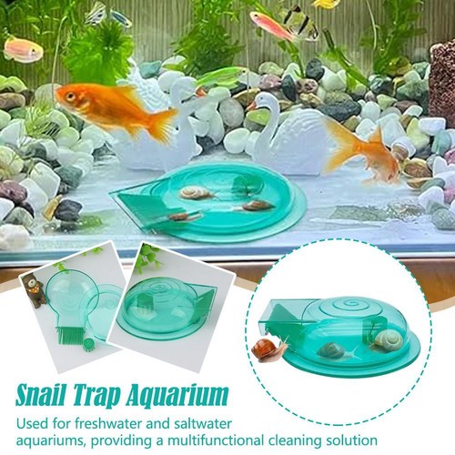 Trappola per lumache acquario