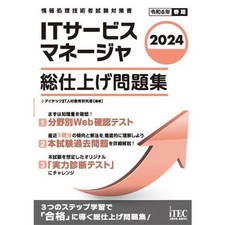 IT Service Manager 2024