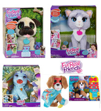 Furreal Friends Giocattolo Interattivo Animali Bootsie/JJ Carlino/Torcia/Bonus Charlie/Kitty