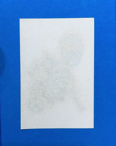 Figurina calciatori panini - figurina,