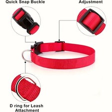 Set Guinzaglio e Collare per