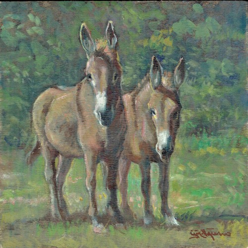 Dipinto olio tavoletta asino - dipinto,