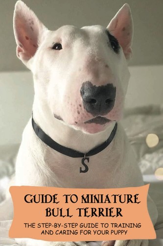 Guide miniature bull - to,