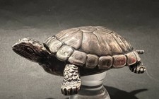 Scatola portagioie tartaruga