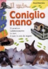 Coniglio Nano - Bruno Tenerezza