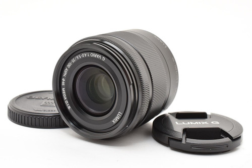 Panasonic lumix vario 100 - lumix, g