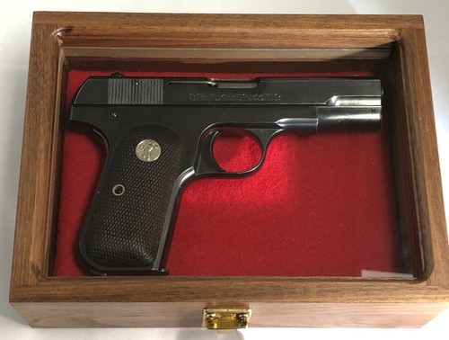 Custodia presentazione pistola - presentazione,