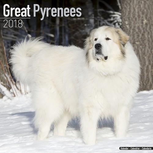 Calendario 2018 great pyrenees - calendario,