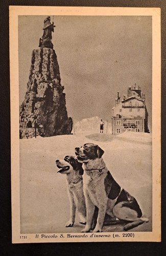 Cartolina rifugio alpino - ,