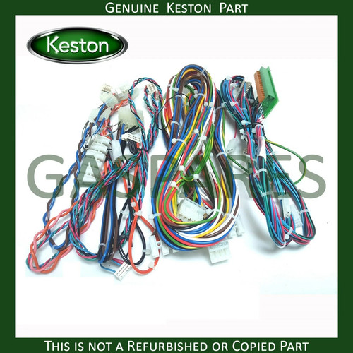 Keston qudos wiring harness - qudos,