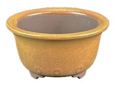 Vaso per bonsai Giapponese