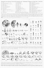 Ricambi Spare Parts Landeron 48 51 Usati Ottime Condizioni