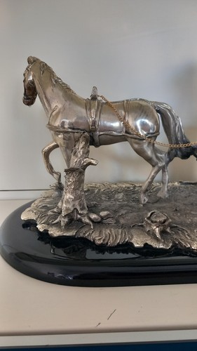 Carrozza con cavallo sposi - carrozza,