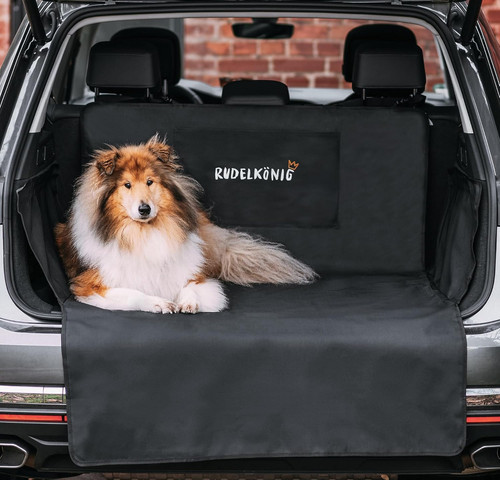 Telo bagagliaio auto per cani - auto,