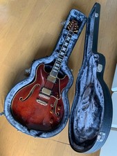 Chitarra elettrica