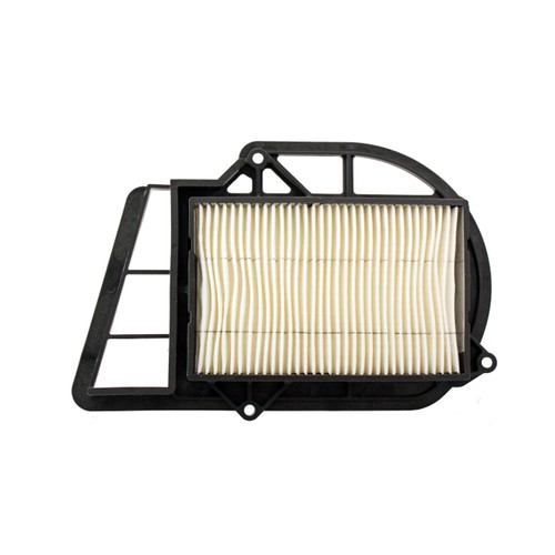 Filtro aria variatore yamaha - variatore,