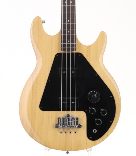 Basso elettrico aria pro - pro, ii