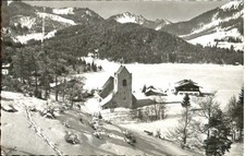 St Bernhard Spitzing St