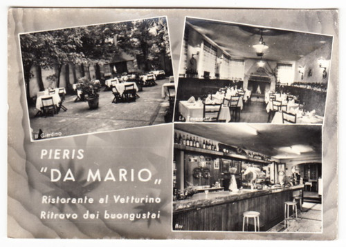 01571 pieris gorizia - -,