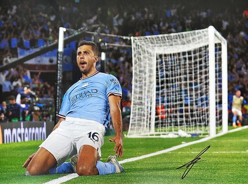 Rodri firmato champions league - rodri,