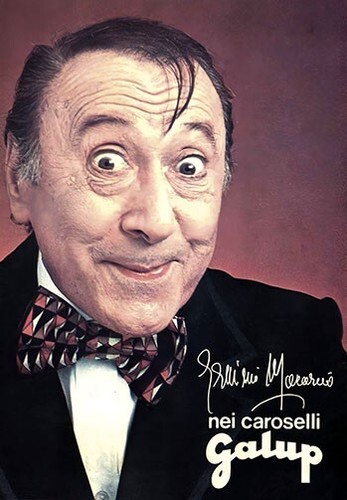 Erminio macario panettone - erminio,