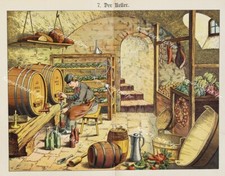 Cantina vino botte rovere