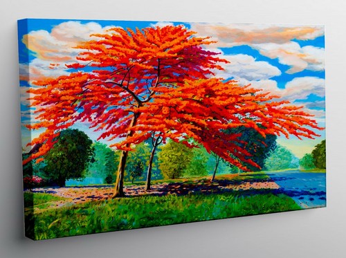 Quadro moderno stampa tela - quadro,