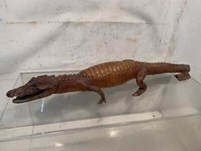 Coccodrillo Alligatore