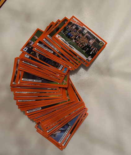 Calciatori panini celebration - calciatori,