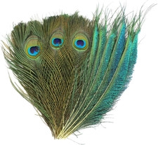 30 Pezzi Piume Di Pavone